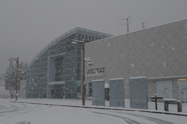 DSC_0486.jpg