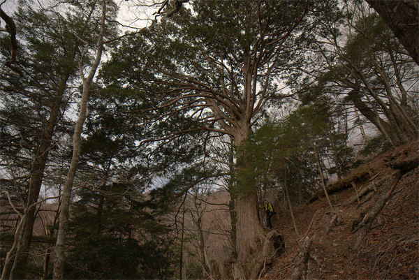 20131207-10.jpg