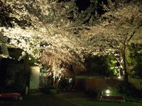 20120412_1871199.jpg
