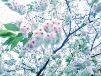 20120422_1880067.jpg