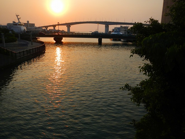 DSCN0606.jpg