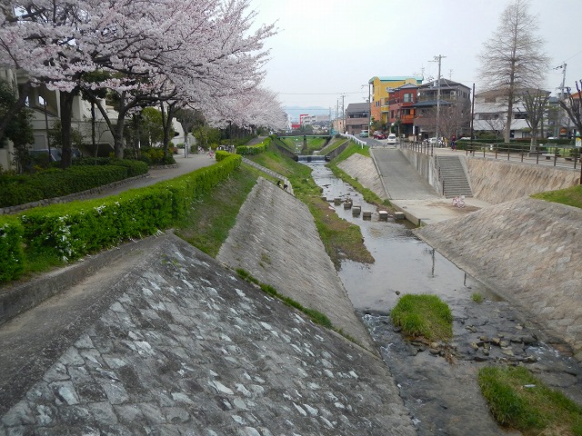 DSCN0714.jpg