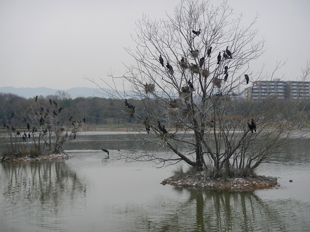 DSCN0728.jpg