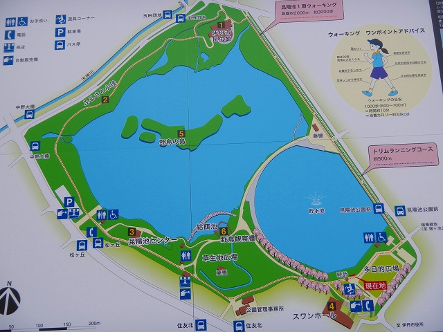 DSCN0731.jpg