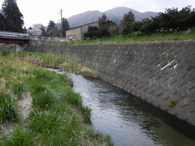 DSCN0947.jpg