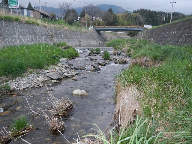 DSCN0948.jpg