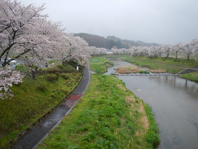 DSCN1015.jpg