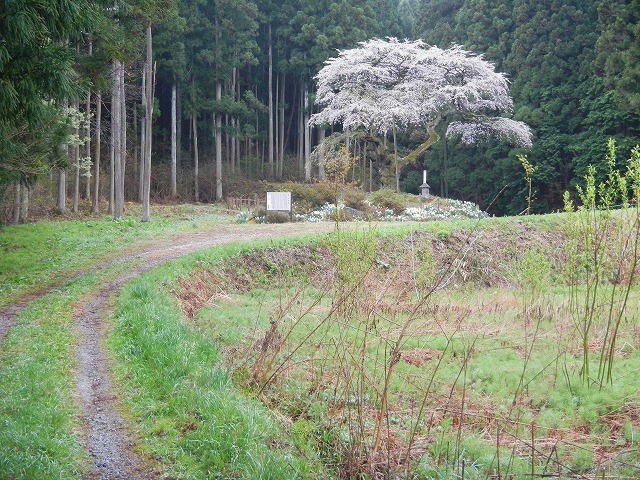 DSCN1045.jpg