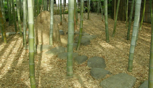 奈良行2013初夏(5)-4