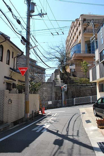 12031521.jpg