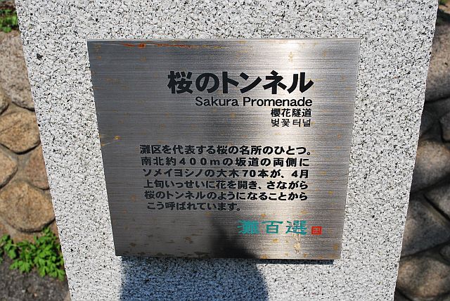 12040959.jpg