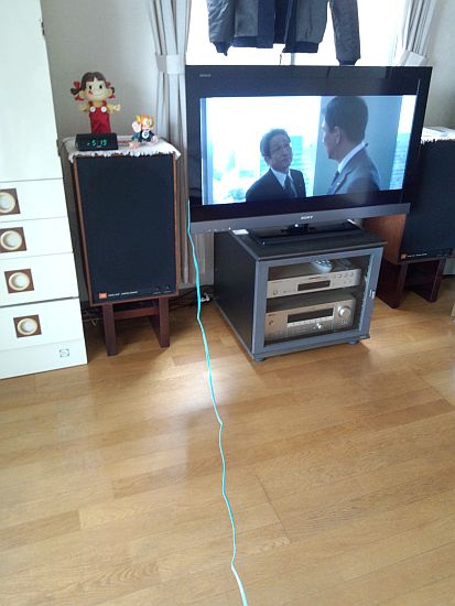 12041604.jpg