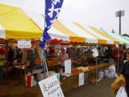 2011doma012.jpg