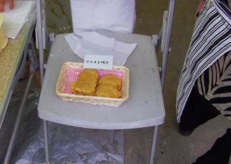 2011doma018.jpg