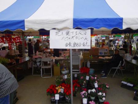 2011doma023.jpg