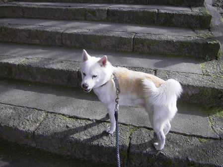 img_1512428_60963101_1.jpg