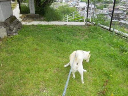 img_1512428_61213740_4.jpg