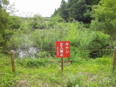 img_1512428_61213744_10.jpg