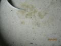 004_convert_20130130205503.jpg