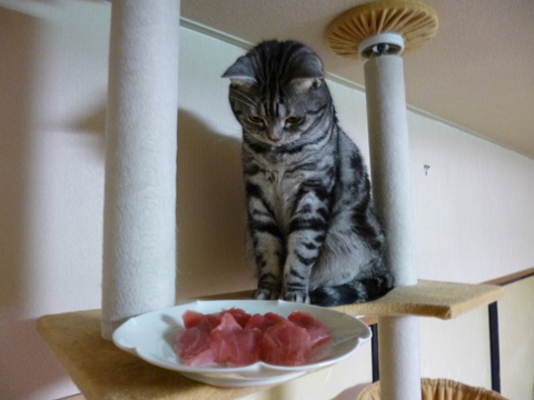 ほう!