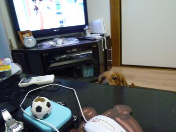 015_convert_20120504231628.jpg