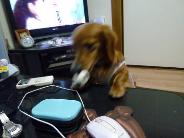 019_convert_20120504232136.jpg