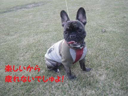2011102003.jpg