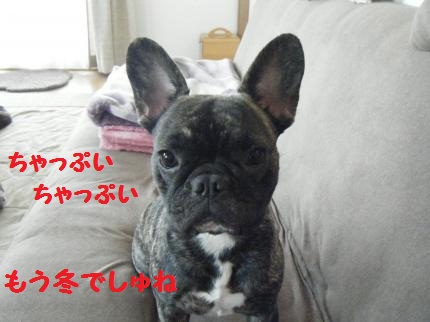 2011.11.17 5