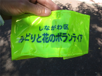 みどりと花10718_R