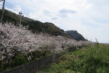 IMG_077515.jpg