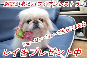 rei2_20130327020435.jpg