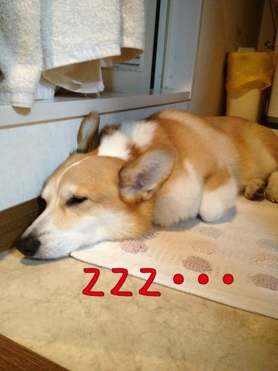 こじくんZZ