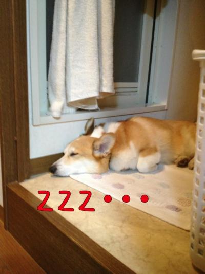 こじくんZ