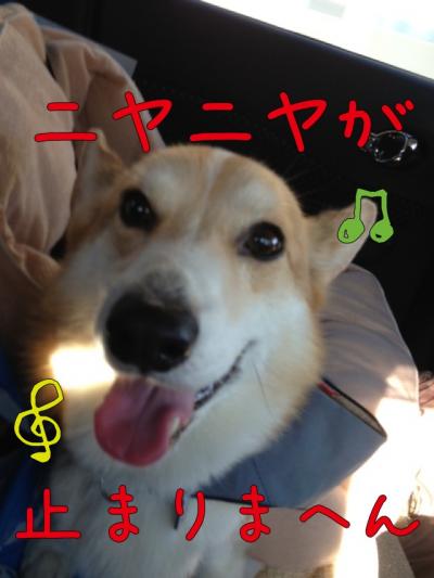 お出かけニヤニヤ