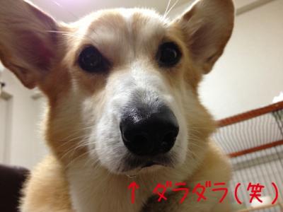 だらだら