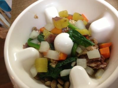 本日のご飯