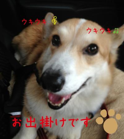 ウキウキ