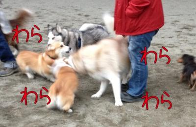 わらわら