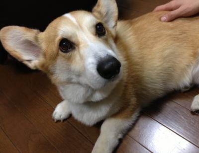 じぃっつ