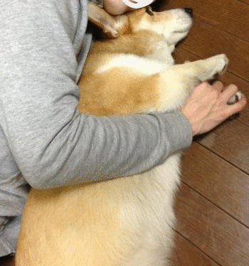 ちちごろん