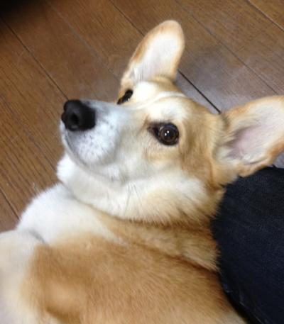 なにか