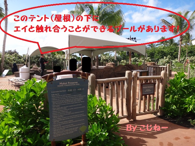DSC00252.jpg