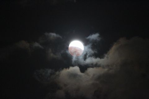 1410080