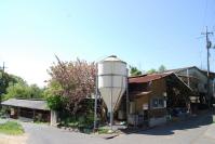 20120427005牛