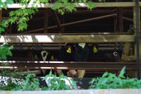 20120427004牛