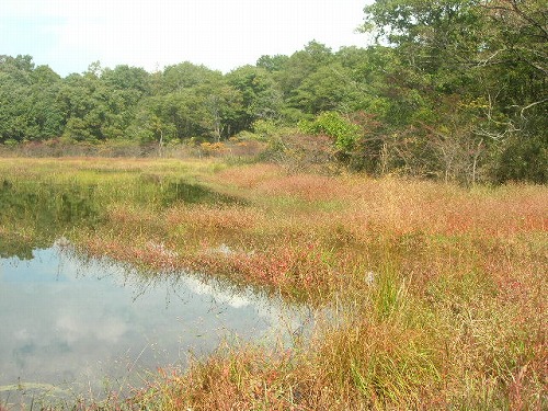 2011-16-5s.jpg