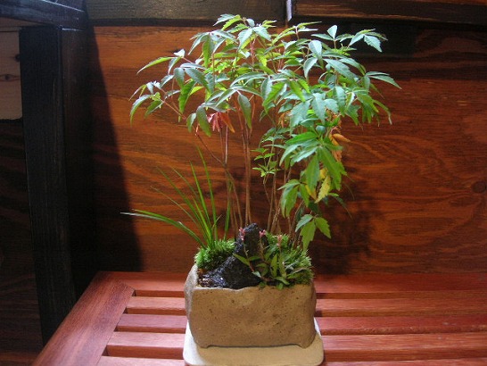 2011-9-26-1s.jpg