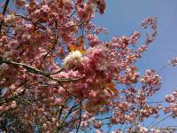 WP_001782 (2)