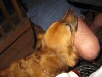 IMG_0019_20120429045723.jpg