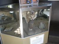 IMG_0171_20120429161909.jpg